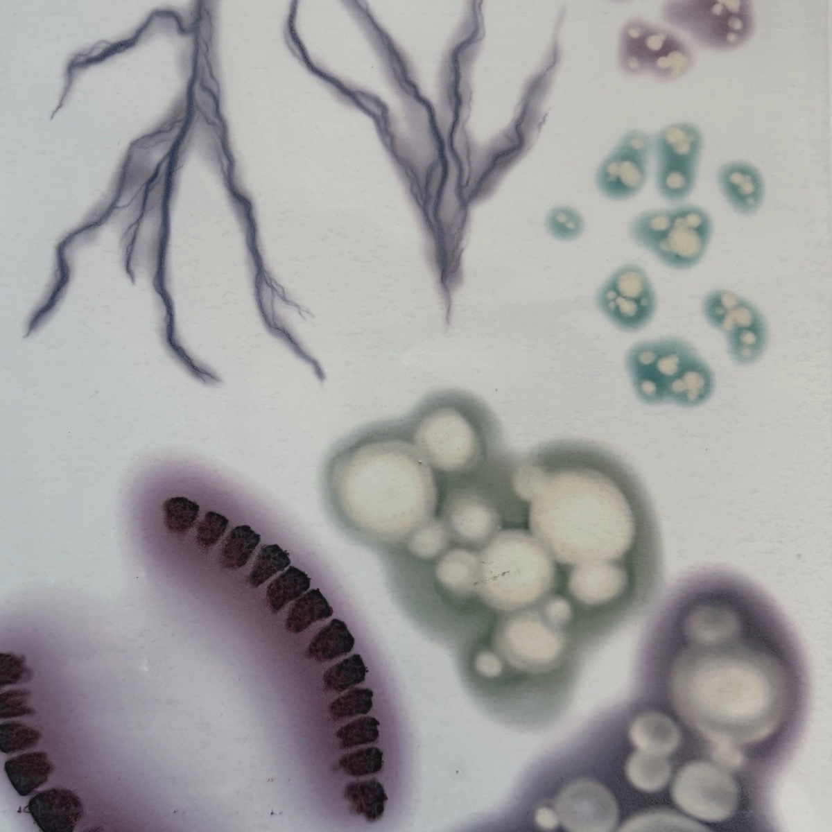 Infected Tattoo FX Set